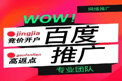 百度推广策略分享：实战案例